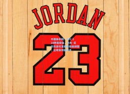 中国体彩网：UFC 314阵容突变，杰夫·尼尔伤退引发赛事格局调整，达奇安待新敌手