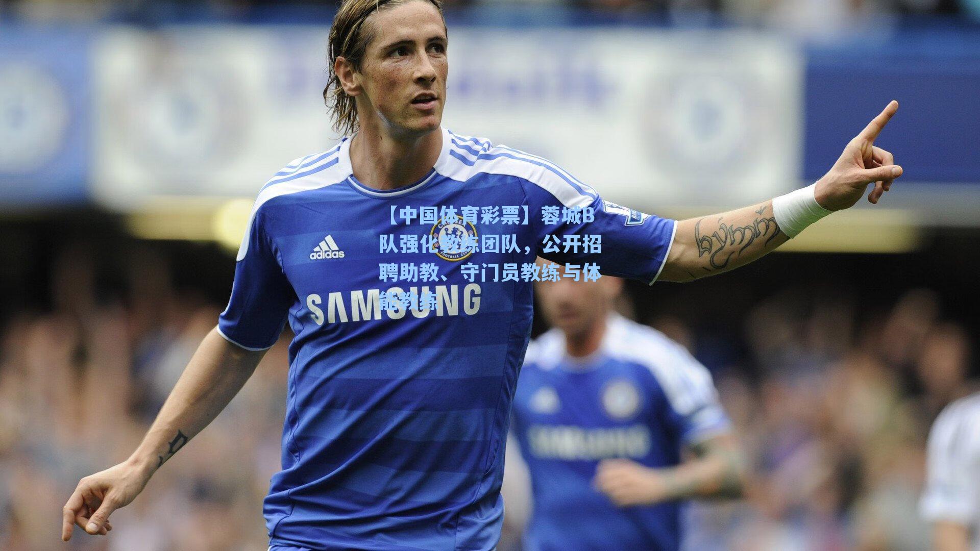 蓉城B队强化教练团队，公开招聘助教、守门员教练与体能教练